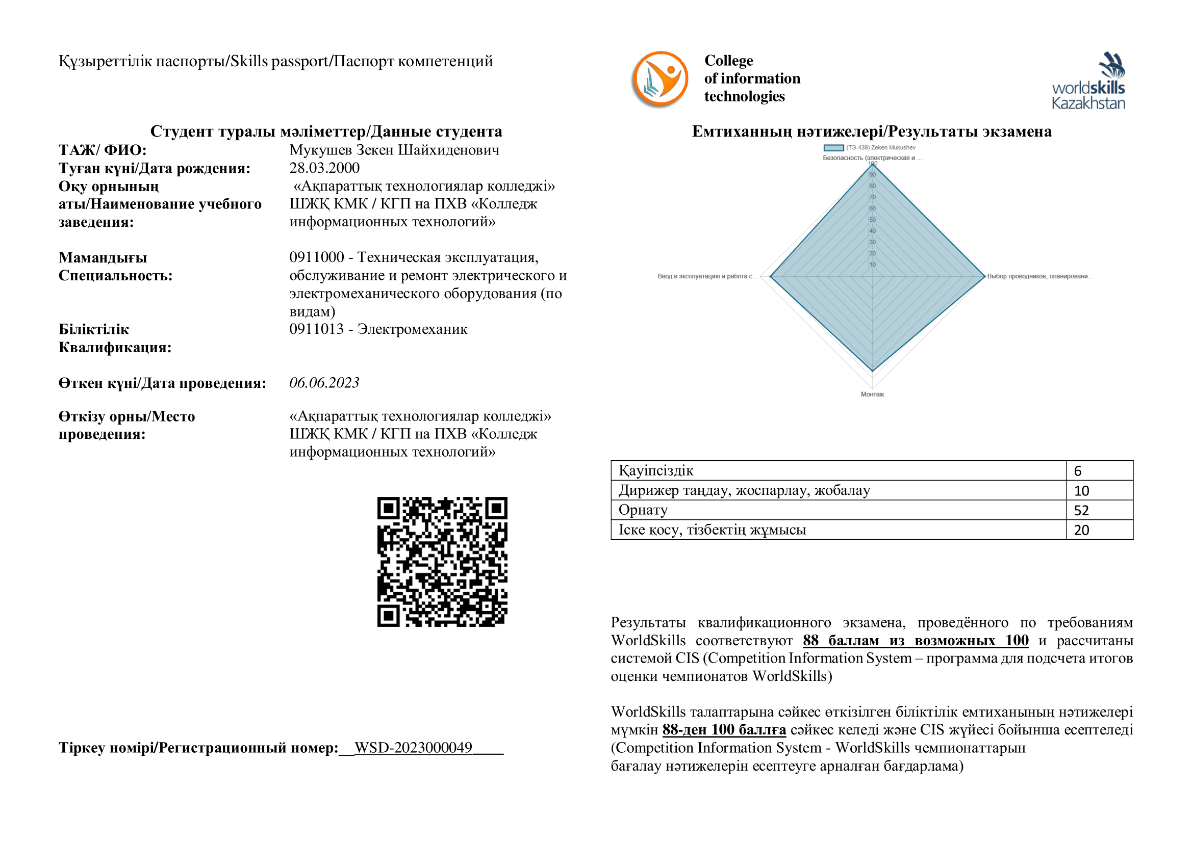 Skills-паспорт