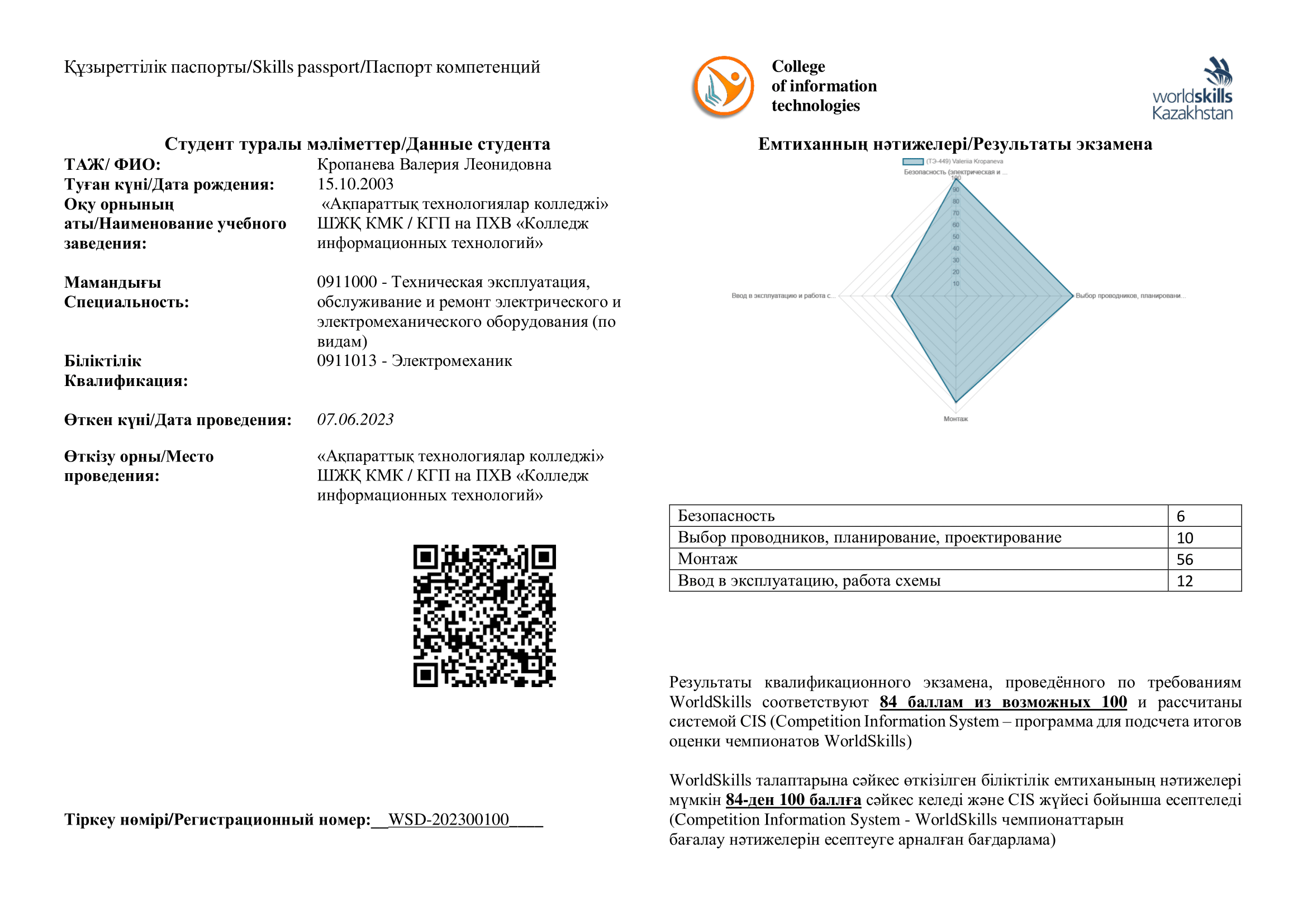 Skills-паспорт