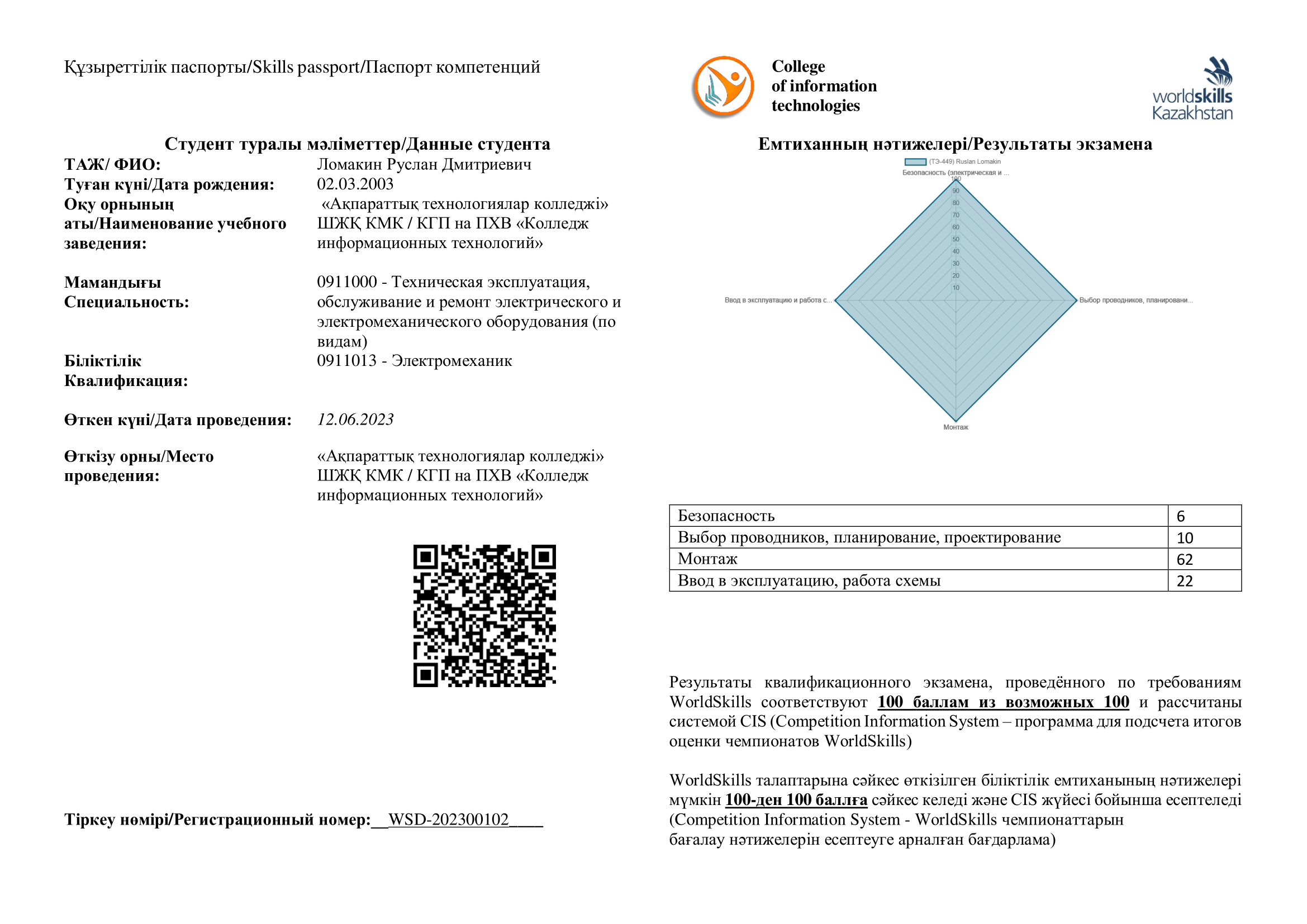 Skills-паспорт