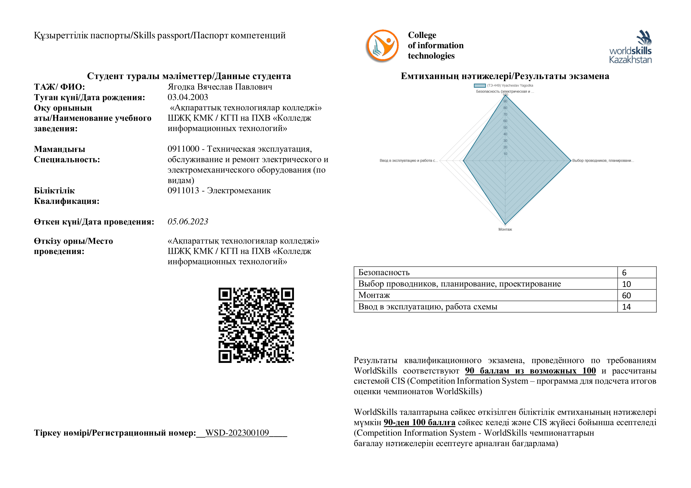 Skills-паспорт